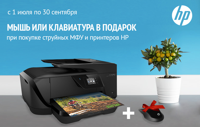 Подарки от ситилинка Подарки от ситилинка